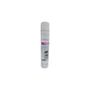 Insecticide Guèpes et Frelons <h5>40020</h5>